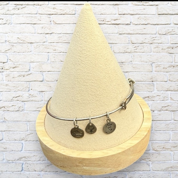 Alex and Ani Jewelry - Alex & Ani Adjustable Silver Bracelet - NO CHARM